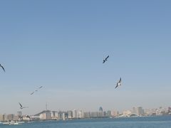 -来之顺海鲜菜馆·青岛菜·始于1993(栈桥店)