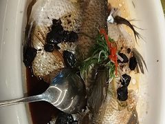 -陶缘一号·四季缘·老字号顺德菜·户外婚礼家宴(西滘店)
