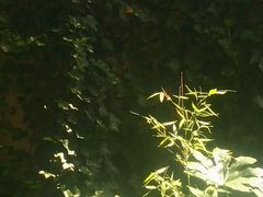 -逸仙华庭