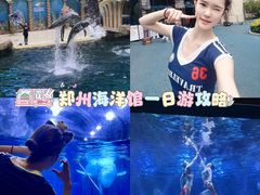 -郑州海洋馆