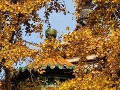 -北京石刻艺术博物馆(五塔寺)