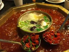 -蜀九香火锅(彩虹店)