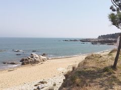 -日照海滨国家森林公园