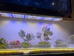 -街角等你.大连海鲜烧烤.经典铁板海鲜串(西安路店)