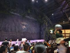 -青岛方特梦幻王国
