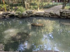 -溪口-滕头旅游景区