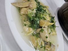 香滑葱油鸡-新陶陶酒家