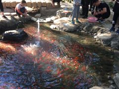 景点-廊坊市自然公园