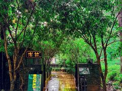 -野蔓果·山野菜(西湖景区·龙井茶田店)