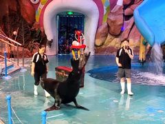-烟台海昌鲸鲨海洋公园