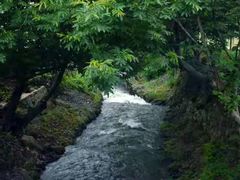 -天目湖松岭竹海漂流