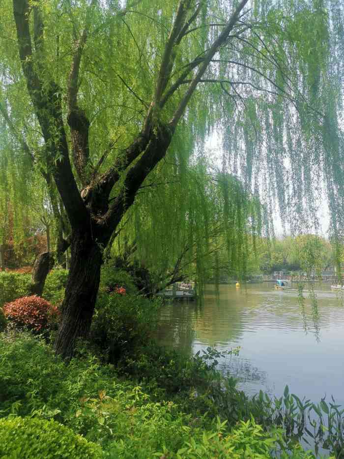 永清公园-"这里陪伴了我很多年,就在自家小区的一角,.