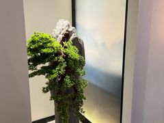 -次第花开素食雅宴