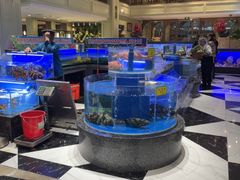 -新海渔港·胶东海鲜家常菜·家宴(奥体中心店)