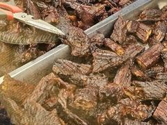 -都士牧人现烤牛肉干