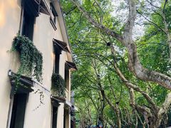 -也枫·小黄楼(南山路旗舰店)