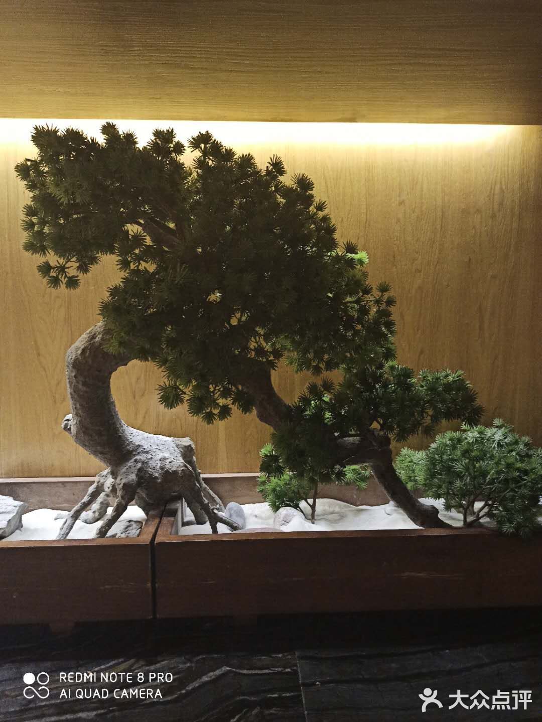 难得休息 就约上闺蜜一起街，偶然间看到这家日料店