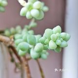 入坑3年 感谢你们的陪伴
