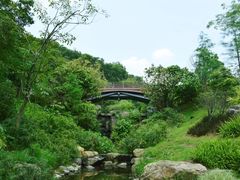 -云溪植物园