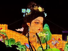 -淄博花灯齐彩城
