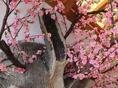 -鸥迪足道(安庆店)