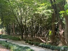 -兰亭风景区