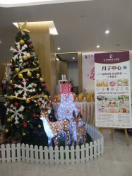 -宝生月子中心·独栋独院式(南山店)