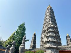 -雷氏板鸭(红照壁南街店)