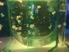 -常州海昌海洋探索馆