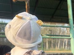 -秦皇岛野生动物园