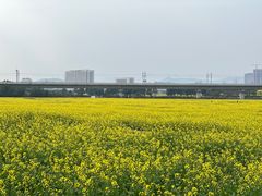 -光明小镇欢乐田园