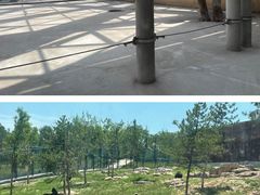 -太原动物园