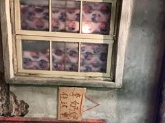 -五马集·海鲜·温州大牌档(黑金冠五马街十字路口店)