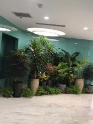 -颜悦医疗美容