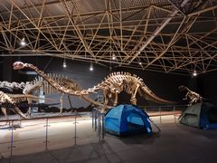 -世界恐龙谷景区