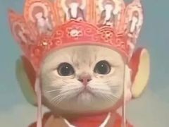 -泸州万象汇
