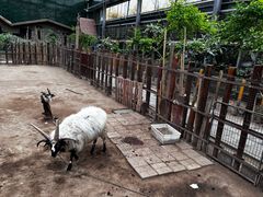 -呀路古热带植物园