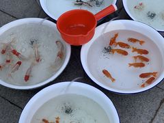 -华声天桥民俗文化园