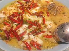 头牌酸菜鲈鱼（中份）-姚姚酸菜鱼·金戈戈香港豉油鸡(喜荟城联名店)