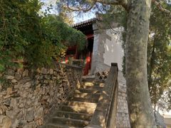 -北京鹫峰国家森林公园