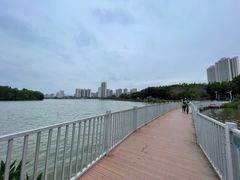 -飞来湖湿地公园