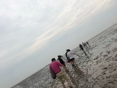 -南汇嘴观海公园