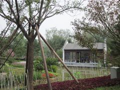 -武清南湖绿博园