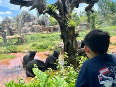 -海南热带野生动植物园