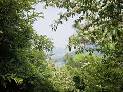 -敬亭山风景名胜区