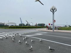 -金沙滩度假村