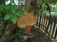 -呀路古热带植物园-恐龙馆