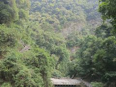 -鼎湖山风景区