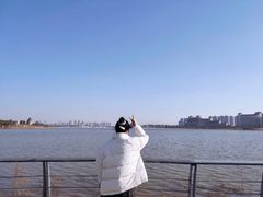 -九龙湖公园