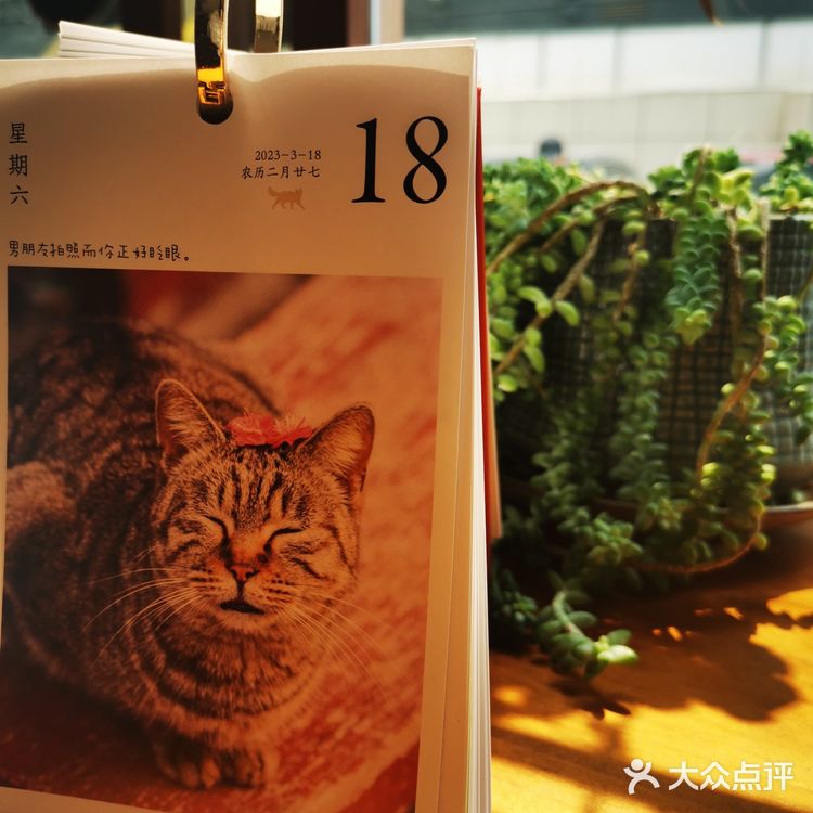 水牛芝士pizza！